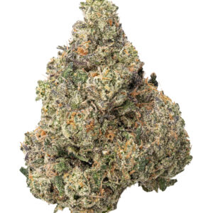 THCa Alpha Runtz Indoor Hydro