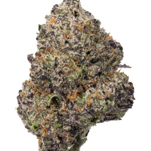 THCa Black Scotti Indoor Hydro