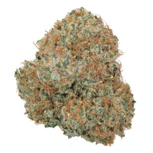 CBD Grapefruit Indoor