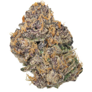 THCa Cream Smoothie Indoor Living Soil