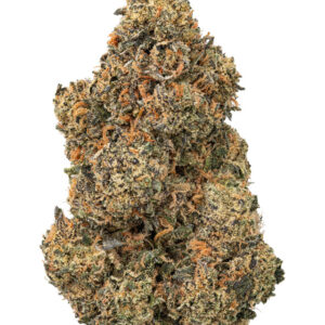 THCa Garlic Budder Indoor Living Soil