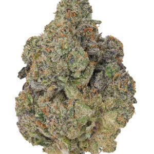 THCa Ice Cream Cake Indoor Living Soil