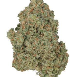 THCa Jack Herer Indoor Living Soil