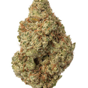 THCa Malawi Gold Indoor Living Soil