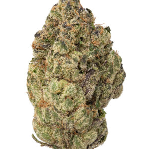 THCa Obama Runtz Indoor Living Soil