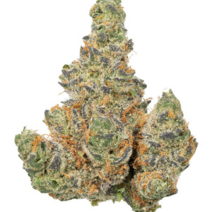 THCa Orange Crush Indoor Hydro