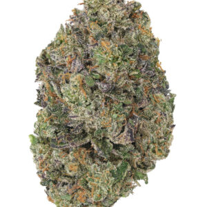 THCa Sherb Cake Indoor Living Soil