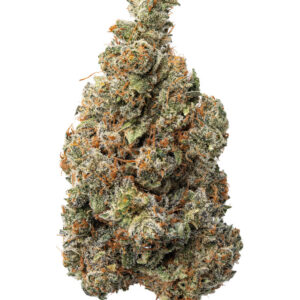 CBD Interstellar Indoor